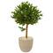 3.5ft. Olive Topiary Tree in Sand Stone Planter